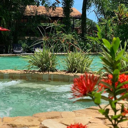 טורטוגוארו Rana Roja Lodge מראה חיצוני תמונה