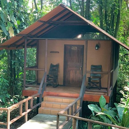 טורטוגוארו Rana Roja Lodge מראה חיצוני תמונה