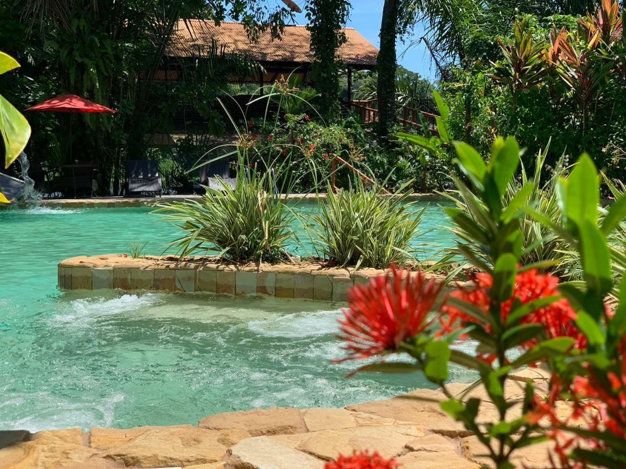 טורטוגוארו Rana Roja Lodge מראה חיצוני תמונה