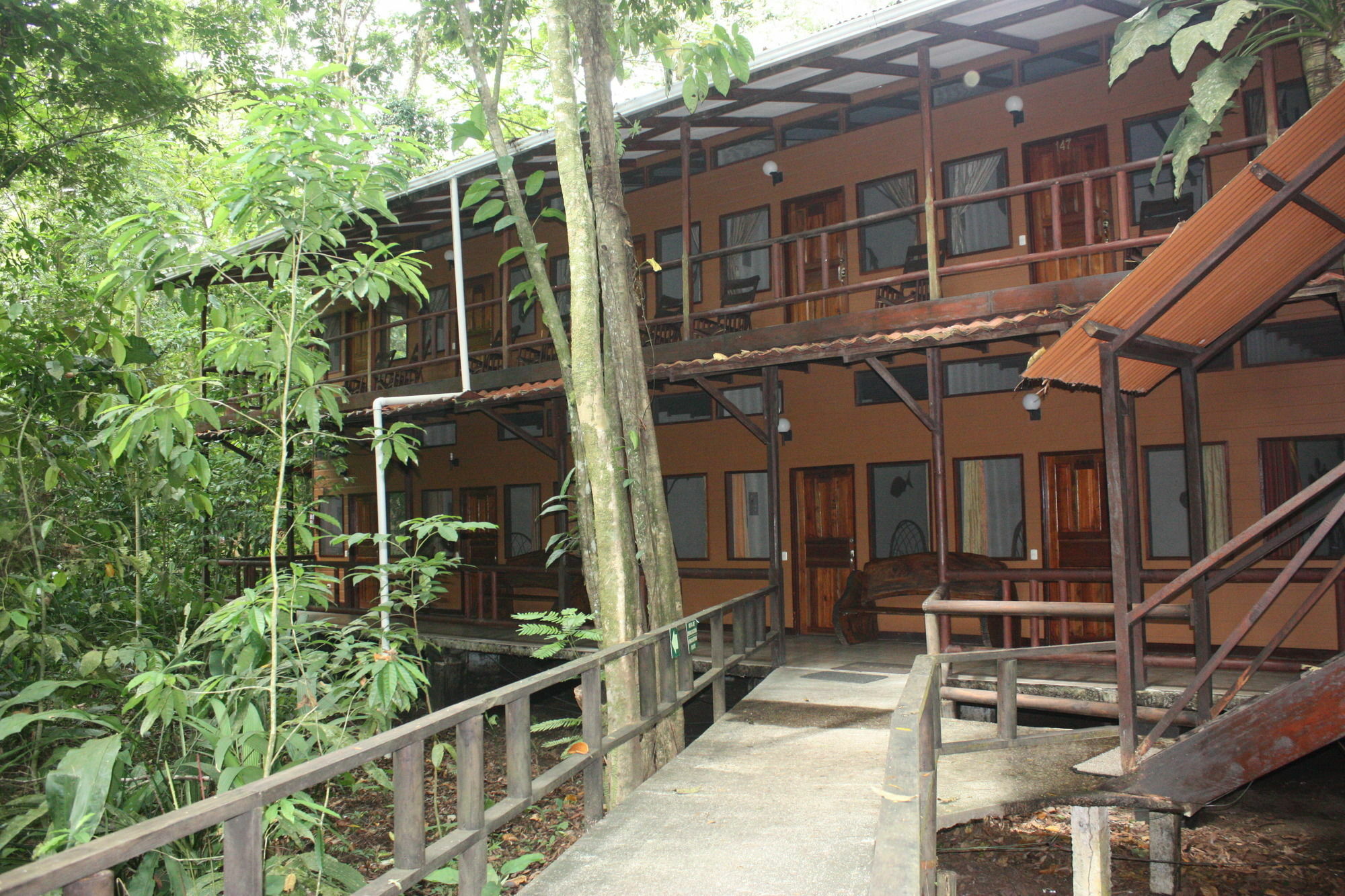 טורטוגוארו Rana Roja Lodge מראה חיצוני תמונה