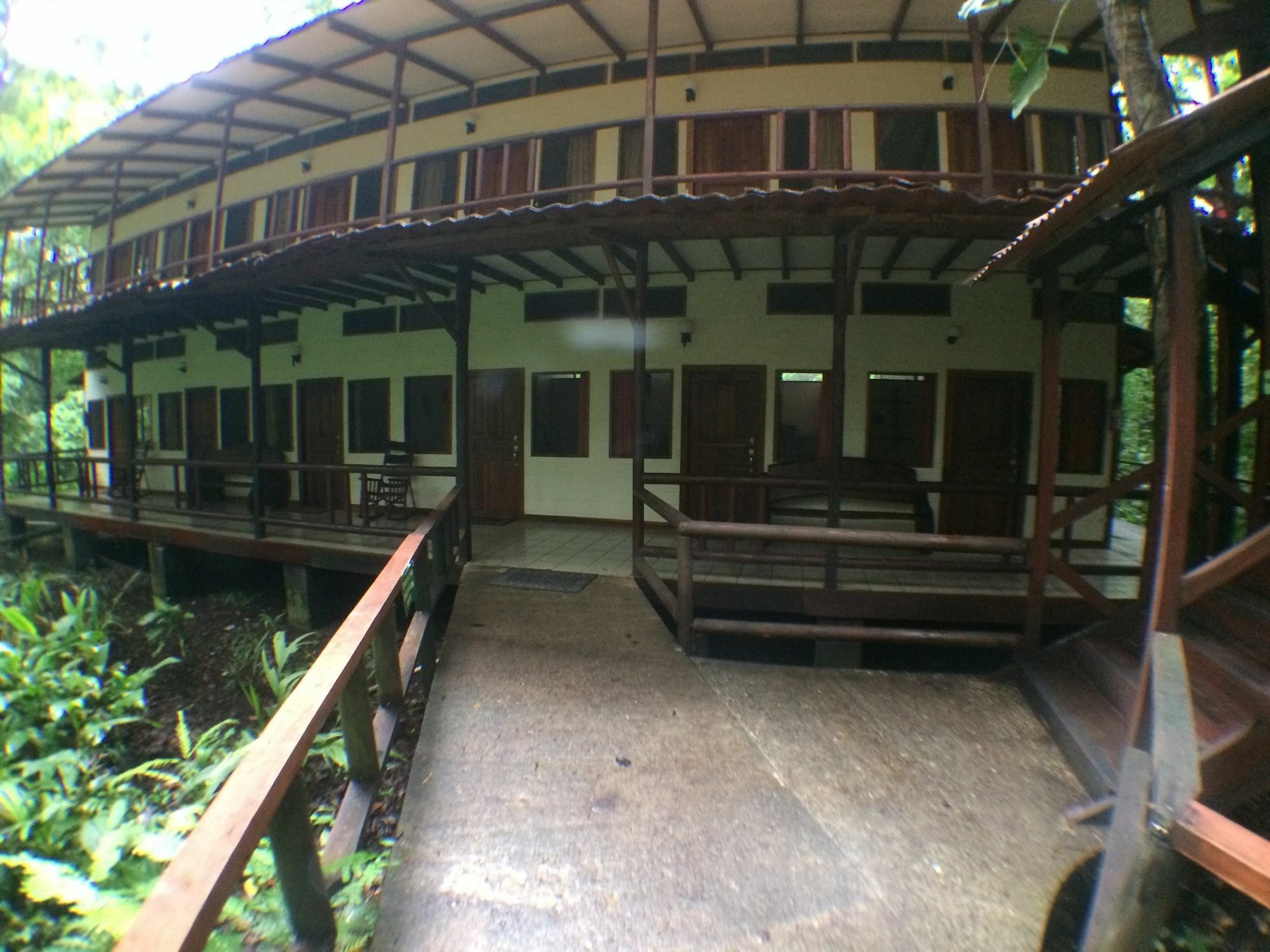 טורטוגוארו Rana Roja Lodge מראה חיצוני תמונה