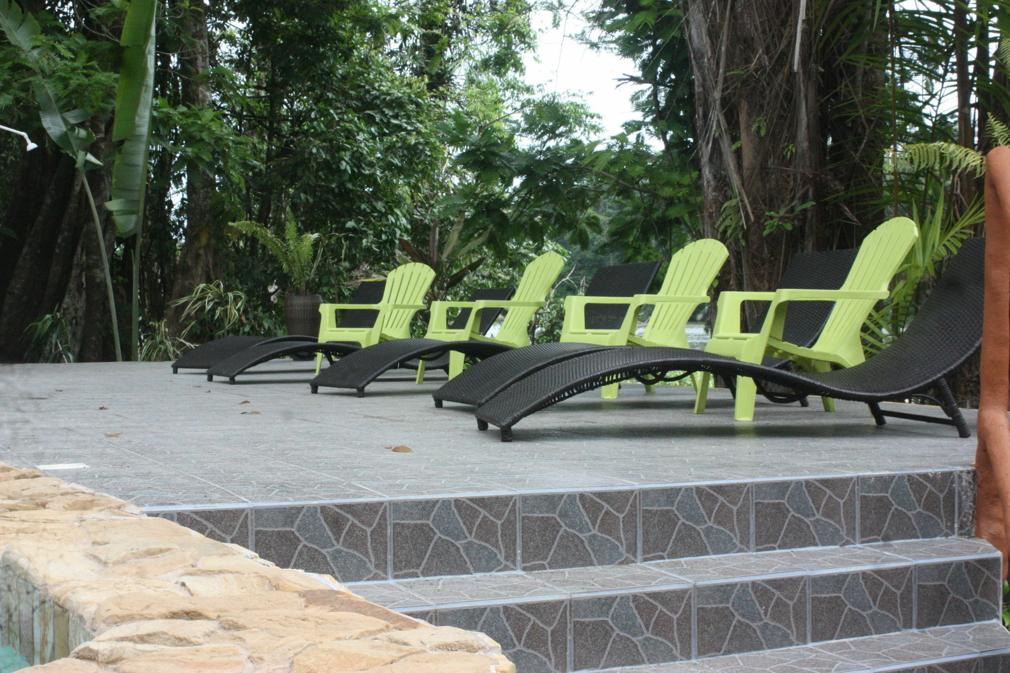 טורטוגוארו Rana Roja Lodge מראה חיצוני תמונה